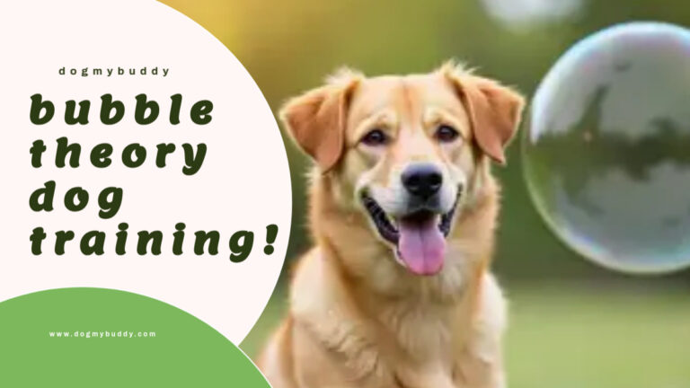 Bubble Theory Dog Training: Building Trust and Boundaries with Your Dog