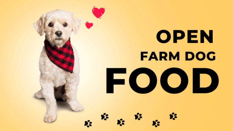 Open Farm Dog Food: The Natural Choice for Your Furry Friend’s Health