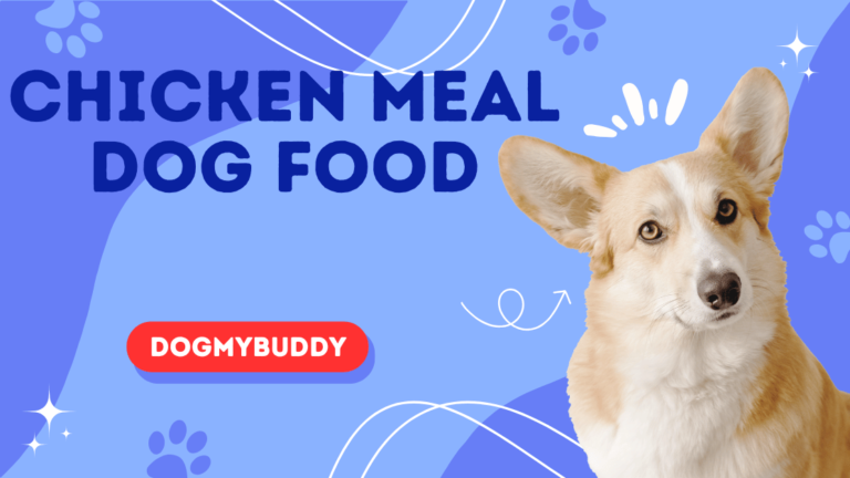 What is Chicken Meal in Dog Food? Cover-up Truth Behind This Power-Packed Ingredient!