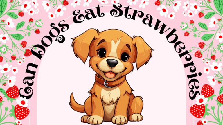 Can Dogs Eat Strawberries? Unlock the Juicy Secret Every Dog Lover Needs to Know!