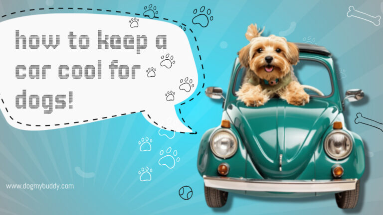 How to Keep a Car Cool for Dogs: Essential Tips for Safe Summer Travels