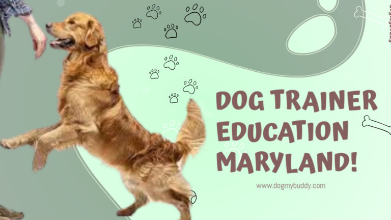 A Comprehensive Guide to Dog Trainer Education  Maryland