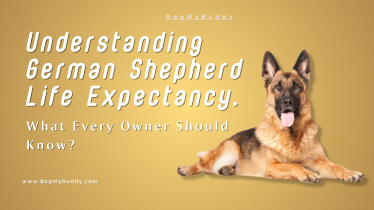 German Shepherd Life Expectancy: Shocking Truths Every Dog Lover Must Know to Maximize Their Life