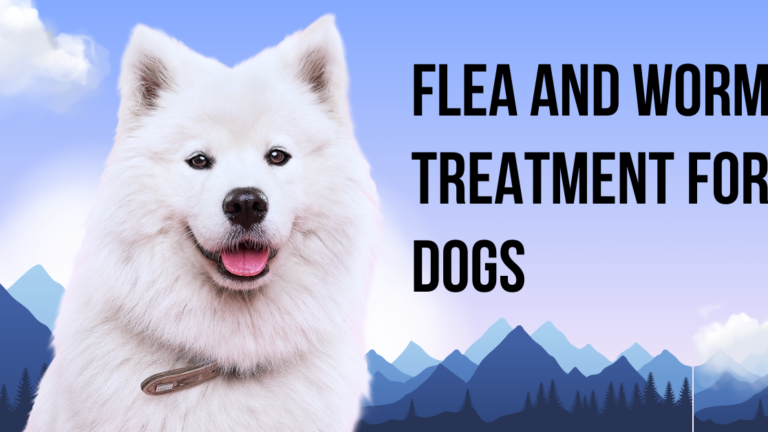 Flea and Worm Treatment for Dogs: The Shocking Dangers and Life-Saving Solutions Every Pet Owner Must Know